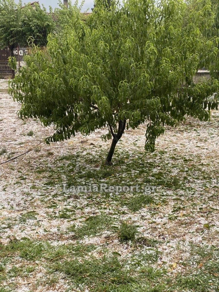 Ο Χρήστος Σταϊκούρας για τις ζημιές από την χαλαζόπτωση στη δυτική Φθιώτιδα