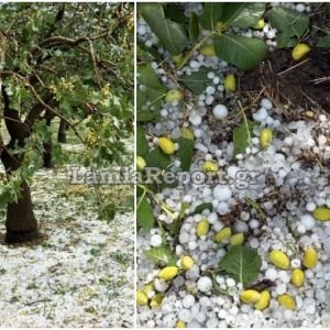 Μεγάλες καταστροφές σε δενδροκαλλιέργειες από το χαλάζι στη Φθιώτιδα - ΒΙΝΤΕΟ