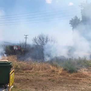 Πυρκαγιά σε ξερά χόρτα κοντά στα Λουτρά Υπάτης - Άμεση επέμβαση της Πυροσβεστικής