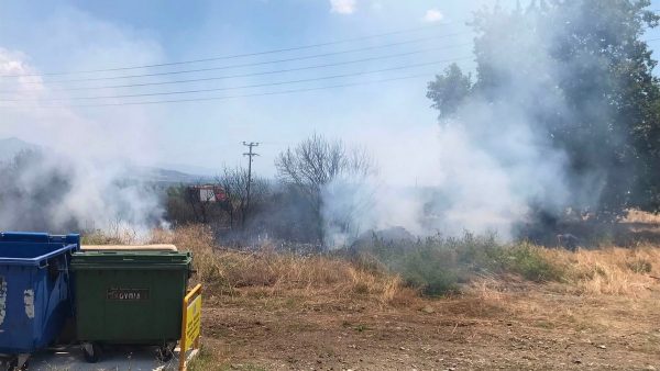 Πυρκαγιά σε ξερά χόρτα κοντά στα Λουτρά Υπάτης - Άμεση επέμβαση της Πυροσβεστικής