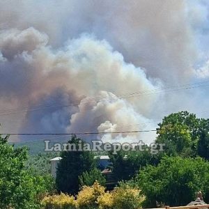 Από θεριζοαλωνιστική μηχανή η μεγάλη πυρκαγιά στο Καλαπόδι - Συνελήφθη 43χρονος
