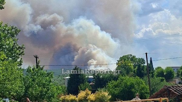 Από θεριζοαλωνιστική μηχανή η μεγάλη πυρκαγιά στο Καλαπόδι - Συνελήφθη 43χρονος