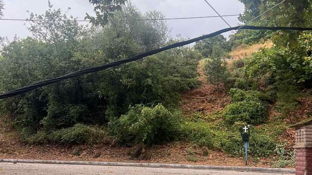 Επικίνδυνα δέντρα στον Γοργοπόταμο
