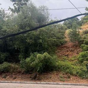 Επικίνδυνα δέντρα στον Γοργοπόταμο