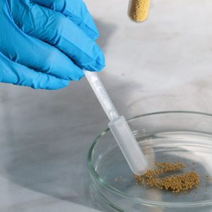 Λαμία: Εντοπίστηκε σαλμονέλα και σε άλλες παρτίδες κοτόπουλου, από διαφορετικούς προμηθευτές - Όλα τα νεότερα