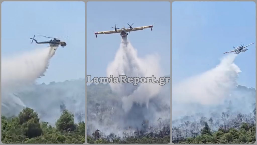 Υπό έλεγχο η πυρκαγιά που εκδηλώθηκε στη Φθιώτιδα το μεσημέρι - Δείτε εικόνες από την κατάσβεση - ΒΙΝΤΕΟ
