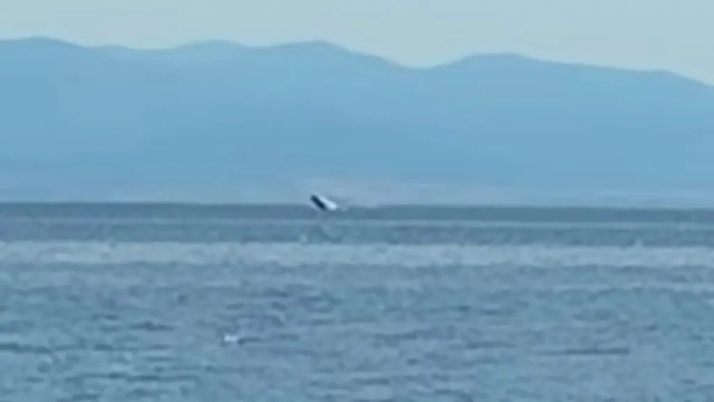 Φάλαινα κάνει βόλτες και βουτιές στην παραλία του Βόλου