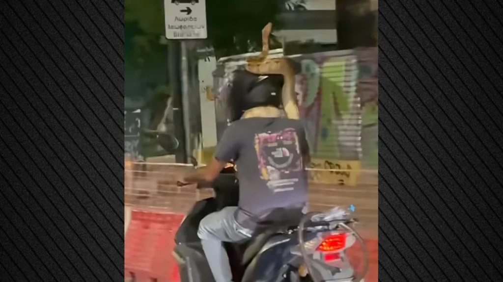 Viral βίντεο: Οδηγός μηχανής κυκλοφορεί στο κέντρο της Αθήνας με τεράστιο φίδι τυλιγμένο στον λαιμό του