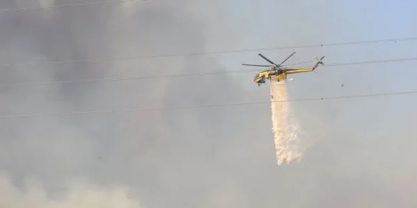 Λέσβος: Φωτιά τώρα στο Πλωμάρι, μήνυμα του 112 - Ισχυροί άνεμοι και φόβοι για επέκταση