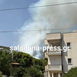 Πυρκαγιά κοντά σε σπίτια στα Σελίνια Σαλαμίνας, 112 για απομάκρυνση προς παραλία
