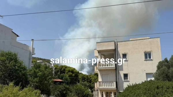 Πυρκαγιά κοντά σε σπίτια στα Σελίνια Σαλαμίνας, 112 για απομάκρυνση προς παραλία