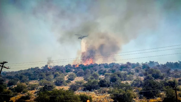 Μπαράζ εκκενώσεων στη Βοιωτία, οι φλόγες πέρασαν μέσα από την Ξηρονομή