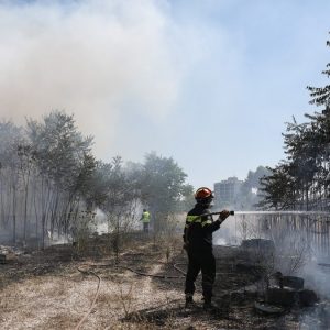 Μαραθώνας: Σύλληψη 21χρονης που έβαζε επίτηδες φωτιές σε ξερά χόρτα – Κατηγορείται για εμπρησμό από πρόθεση