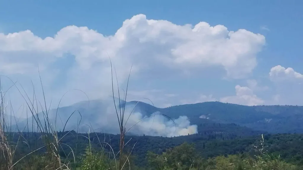 Πυρκαγιά σε αγροτοδασική έκταση στα Βασιλικά Κέρκυρας, σηκώθηκαν και εναέρια μέσα, δείτε βίντεο