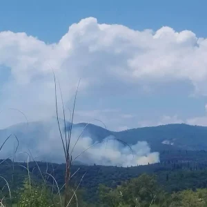 Πυρκαγιά σε αγροτοδασική έκταση στα Βασιλικά Κέρκυρας, σηκώθηκαν και εναέρια μέσα, δείτε βίντεο