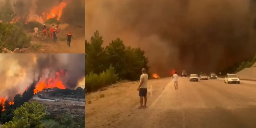 Καίγεται και η Τουρκία: Πολλαπλά πύρινα μέτωπα στα νότια και δυτικά παράλια -Πάνω από 1.000 πυροσβέστες στα Μούγλα