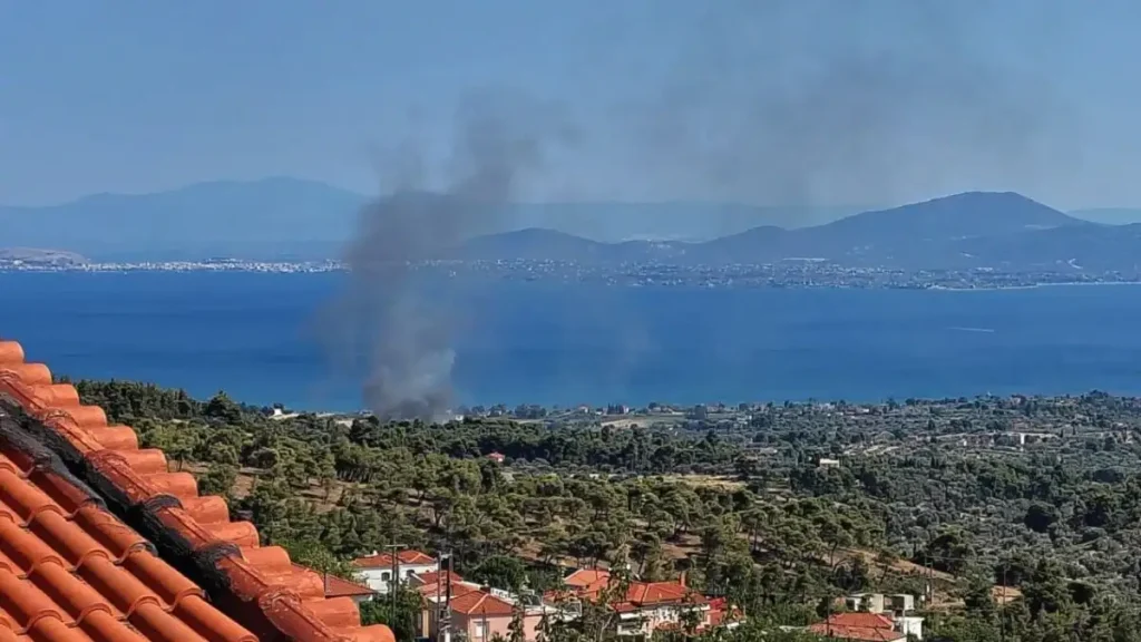 Πυρκαγιά στην Εύβοια στην περιοχή Πολιτικά – Εναέρια μέσα στο σημείο