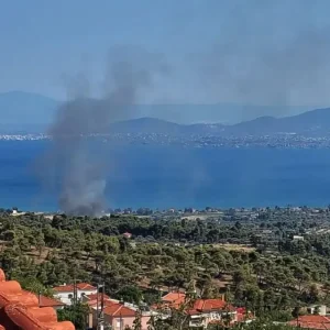 Πυρκαγιά στην Εύβοια στην περιοχή Πολιτικά – Εναέρια μέσα στο σημείο
