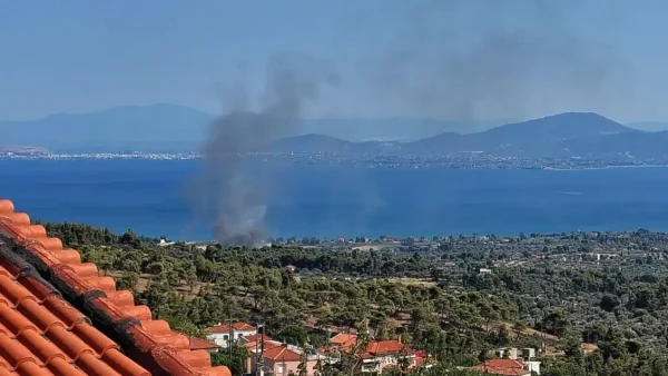 Πυρκαγιά στην Εύβοια στην περιοχή Πολιτικά – Εναέρια μέσα στο σημείο