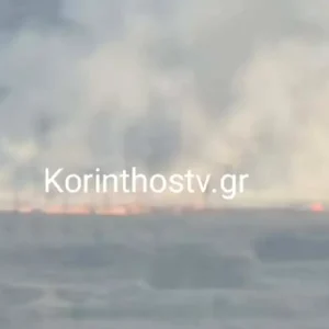 Φωτιά στον Άσσο Κορινθίας – Εναέρια μέσα στο σημείο