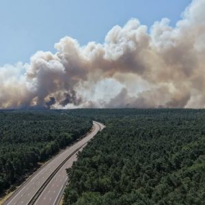 Γαλλία: Έξι συλλήψεις για την πυρκαγιά στο Φοντενεμπλό – Ανάμεσά τους και ένας εθελοντής πυροσβέστης