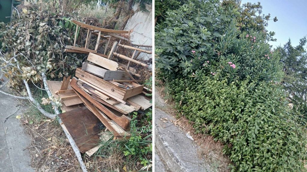 Ζούγκλα οι Εργατικές Κατοικίες στα Γαλανέικα