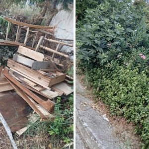 Ζούγκλα οι Εργατικές Κατοικίες στα Γαλανέικα