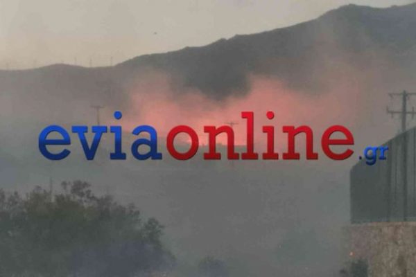 Εύβοια: Νέες εικόνες από την πύρινη λαίλαπα- Μπήκε σε σπίτι και έκαψε δύο αυτοκίνητα