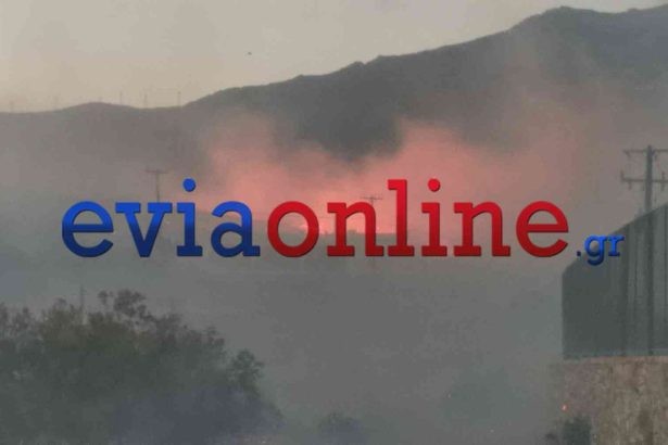 Εύβοια: Νέες εικόνες από την πύρινη λαίλαπα- Μπήκε σε σπίτι και έκαψε δύο αυτοκίνητα