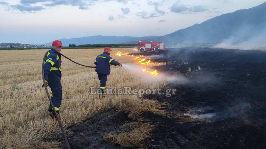 Φθιώτιδα: Πυρκαγιά σε καλαμιές κινητοποίησε την πυροσβεστική λίγο πριν πέσει το σκοτάδι (ΦΩΤΟ)
