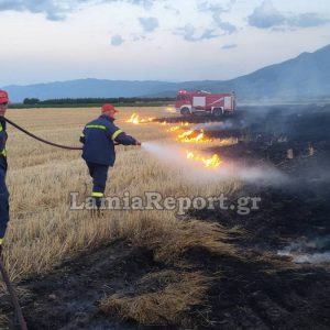 Φθιώτιδα: Πυρκαγιά σε καλαμιές κινητοποίησε την πυροσβεστική λίγο πριν πέσει το σκοτάδι (ΦΩΤΟ)