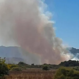 Πυρκαγιά στην Κέρκυρα, στην περιοχή Γιαννάδες – Επιχειρούν εναέρια μέσα