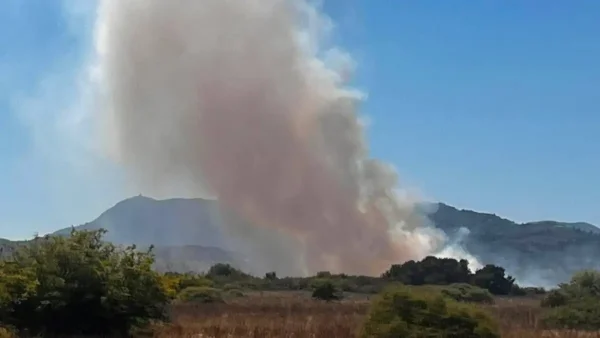 Πυρκαγιά στην Κέρκυρα, στην περιοχή Γιαννάδες – Επιχειρούν εναέρια μέσα