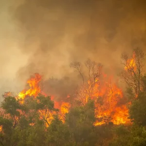 Κώστας Λαγουβάρδος: Ακραία μελτέμια μέχρι την Κυριακή – Δύσκολες συνθήκες και την επόμενη εβδομάδα