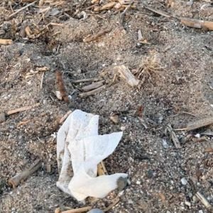 Επικίνδυνα υλικά και σκουπίδια στην παραλία της Σκάλας Αταλάντης