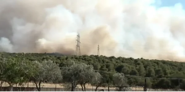 Μεγάλη φωτιά στη Μάνδρα Αττικής -Επιχειρούν 22 εναέρια μέσα, διακοπή κυκλοφορίας στην ΠΕΟ Αθηνών-Θηβών, ήχησε το 112