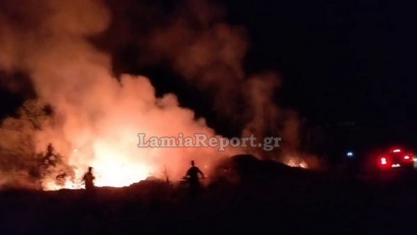 Αναζωπύρωση στη Σφάκα - Ευτυχώς πρόλαβαν οι πυροσβέστες (ΒΙΝΤΕΟ)