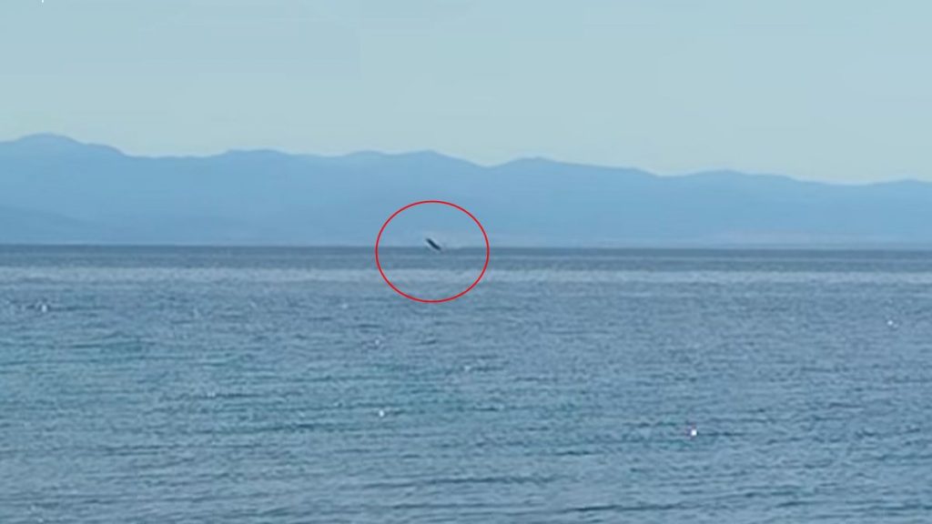 Φάλαινα φυσητήρας κάνει βόλτες στον Παγασητικό