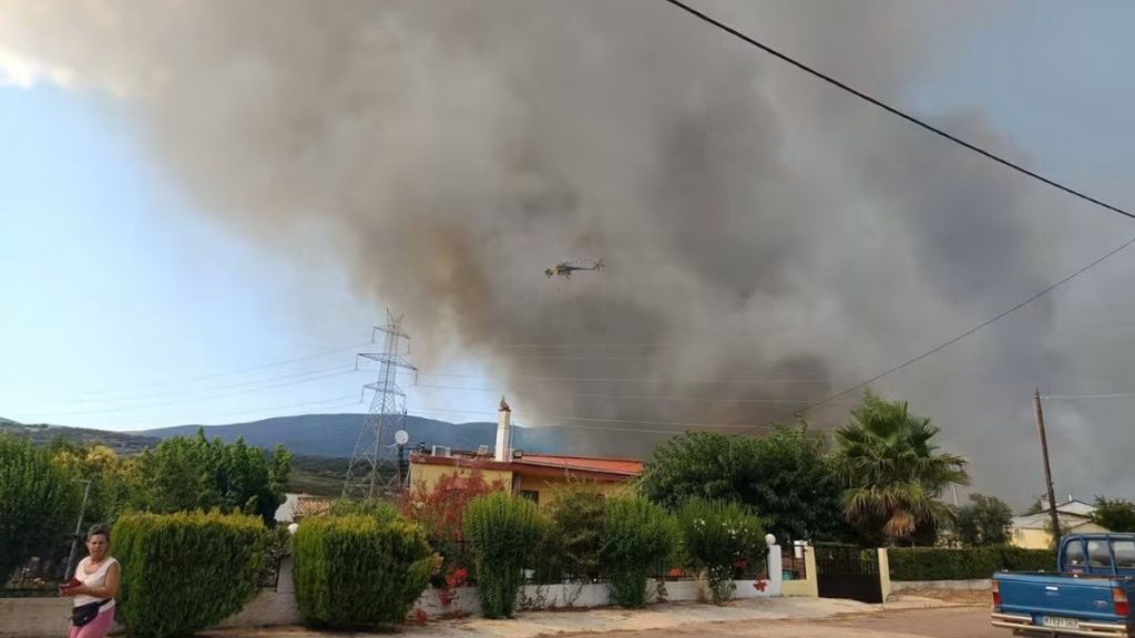 Το μέγεθος της καταστροφής μετά τη χθεσινή πυρκαγιά στον Δήμο Αμφίκλειας - Ελάτειας