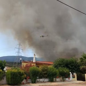 Το μέγεθος της καταστροφής μετά τη χθεσινή πυρκαγιά στον Δήμο Αμφίκλειας - Ελάτειας