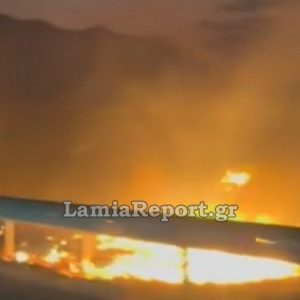 Πυρκαγιά στο πρανές της εθνικής οδού έξω από τη Λαμία - Δείτε βίντεο