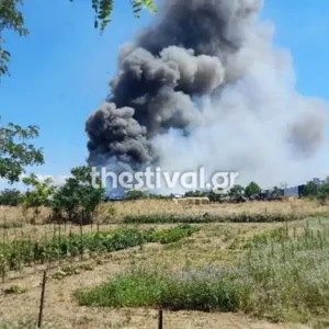 Φωτιά στο Καλοχώρι Θεσσαλονίκης – Επιχειρούν 18 πυροσβέστες