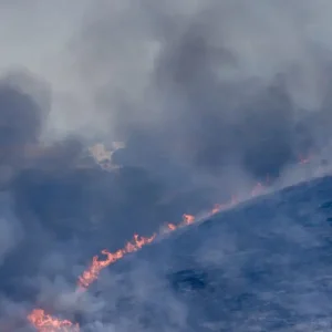 Πυρκαγιά στα Οινόφυτα – Στη μάχη 4 εναέρια μέσα