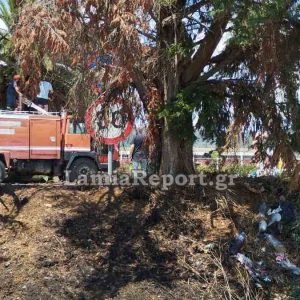 Φθιώτιδα: Πυρκαγιά σε ξερά χόρτα και σκουπίδια πλησίον πρατηρίου καυσίμων (ΦΩΤΟ)