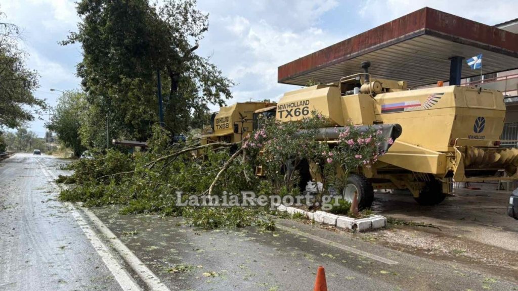 Κακοκαιρία: 36 πτώσεις δέντρων και περισσότερες από 60 κλήσεις στην Πυροσβεστική είχαμε στη Στερεά από το χθεσινό μπουρίνι