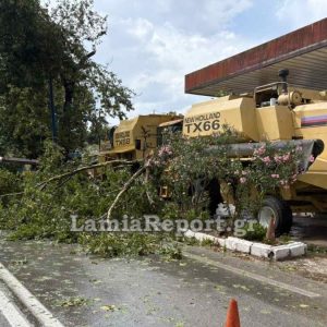Κακοκαιρία: 36 πτώσεις δέντρων και περισσότερες από 60 κλήσεις στην Πυροσβεστική είχαμε στη Στερεά από το χθεσινό μπουρίνι
