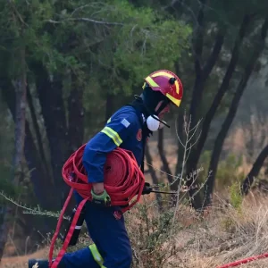 Πυρκαγιά στην Αταλάντη Φθιώτιδας, στο Κυπαρίσσι Αταλάντης
