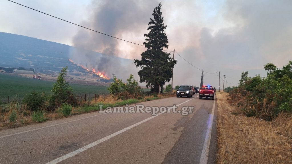 Φθιώτιδα: Μέχρι το τελευταίο φως επιχείρησαν αεροπλάνα και ελικόπτερα στη μεγάλη πυρκαγιά στο Καλαπόδι (ΒΙΝΤΕΟ-ΦΩΤΟ)