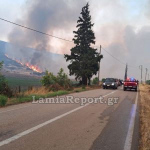 Φθιώτιδα: Μέχρι το τελευταίο φως επιχείρησαν αεροπλάνα και ελικόπτερα στη μεγάλη πυρκαγιά στο Καλαπόδι (ΒΙΝΤΕΟ-ΦΩΤΟ)