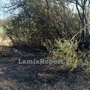 Νέα πυρκαγιά στον Άγιο Γεώργιο Πελασγίας - Πρόλαβε η Πυροσβεστική (ΦΩΤΟ)